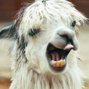 Profile Picture of Christopher Carlson (@christophercarlson1115) on Youtube