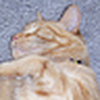 Profile Picture of Philip Hoff (@Philip Hoff) on Flickr