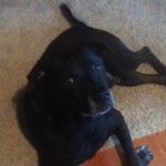 Profile Picture of Shayna Greiner (@candyqueen1234) on Instagram