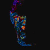 Profile Picture of Matthew Martin (@MatthewMartin-ig1jk) on Youtube