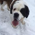 Profile Picture of Kim Frantz (@kfrantz) on Instagram