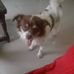 Profile Picture of Jeffrey Bacus (@Jeffrey-Bacus) on Facebook