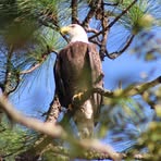 Profile Picture of Keith Aspinwall (@browntroutforlife) on Facebook