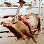 Profile Picture of Steve Boren (@jsb_bullman777) on Instagram