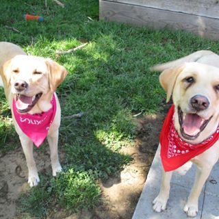 Profile Picture of Megan Watson (@megan.watson.1257) on Facebook