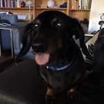 Profile Picture of Jeffrey (@sevenhillsyoga) on Instagram