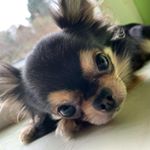 Mischka🥰 - Instagram Profile Picture of Mischka🥰 (@_.mischka._) on Instagram
