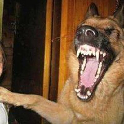 Julián Oquendo Lavoe - Twitter Profile Picture of Julián Oquendo Lavoe (@juli_oquendo) on Twitter