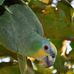 Profile Picture of Ecopedagogia Avifauna Upc (@ecopedagogia.avifaunaupc) on Facebook