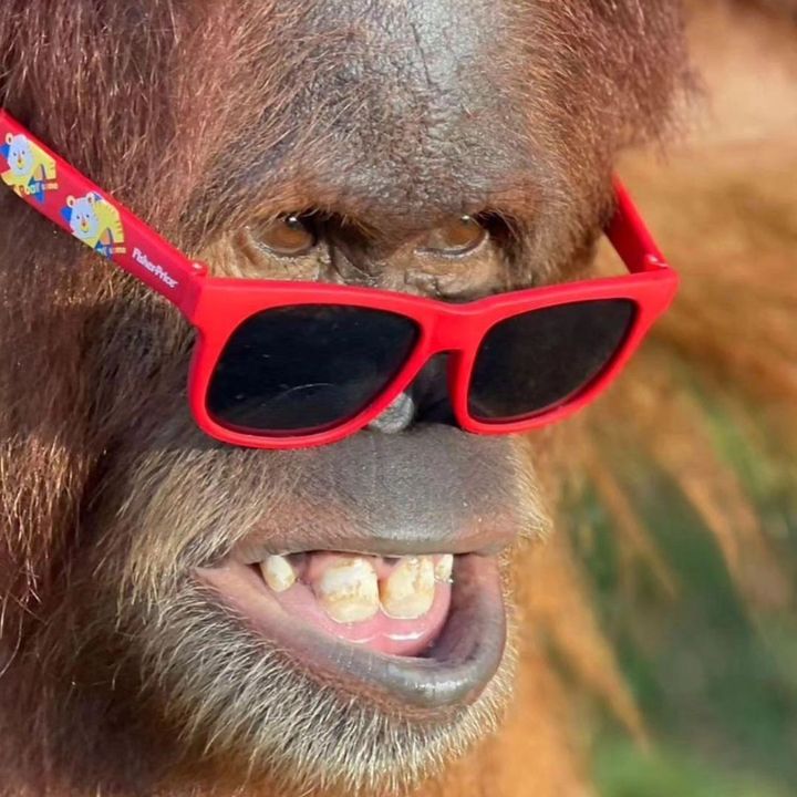 Profile Picture of Michael Hidalgo (@michaelhidalgo32) on Tiktok