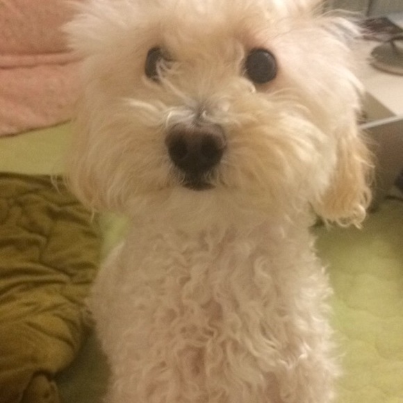 Jueun Lee - Poshmark Profile Picture of Jueun Lee (@jueunlee) on Poshmark