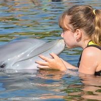 Profile Picture of Larene Szeszko (@larene-szeszko) on Quora