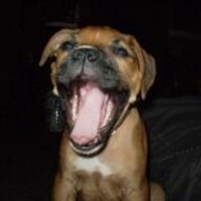 Profile Picture of Debra Walter (@walterda40) on Twitter