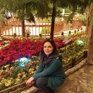 Profile Picture of Elham Eatedali (@EtElham) on Twitter