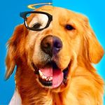 Profile Picture of Aline, Troy, Doge e Thor (@golden.terriever) on Instagram