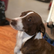 Profile Picture of Robert Chandler (@toolthrower1) on Youtube