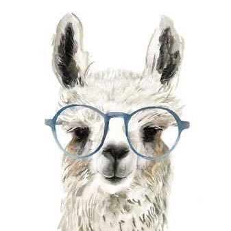 Profile Picture of Ariel Chiu (@ArielChiu11) on Twitter