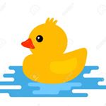 Profile Picture of Shua Verschleisser (@shuaversch) on Instagram