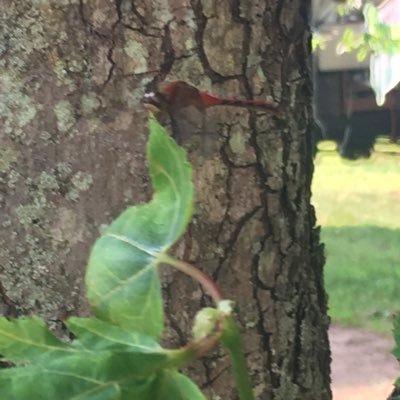 Profile Picture of Ayden Roberts (@AydenRoberts11) on Twitter