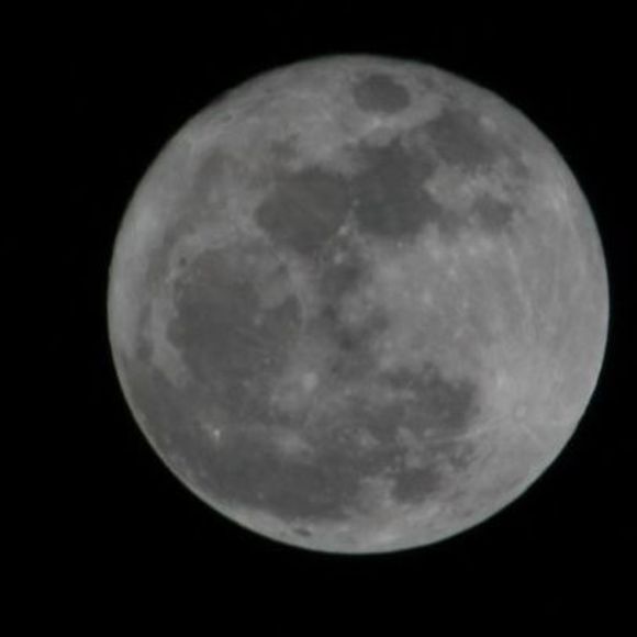 Profile Picture of Cathy Bennett (@cat42765) on Poshmark