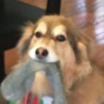 Profile Picture of Nicholas Sheppard (@nicholas.s.m7) on Instagram