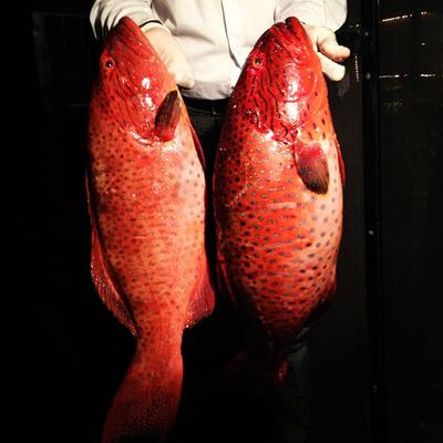 Profile Picture of Tom Teague (@practicalfog82) on Twitter