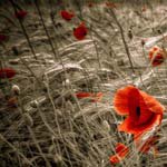 Profile Picture of EleanorKessler (@eleanorkesslerk) on Instagram