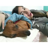 Profile Picture of Daniela Astudillo Brustao (@daniela-astudillo-brustao) on Quora