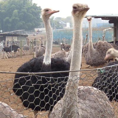 Profile Picture of Mike Gisondo (@Gisondo_G2) on Twitter