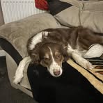 Profile Picture of Malcolm Milburn (@malcolm.milburn.33) on Facebook