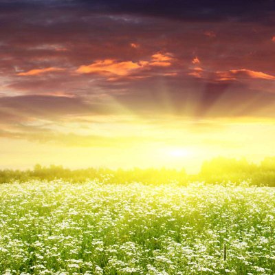 Profile Picture of Mildred Wright (@mildredwright45) on Twitter