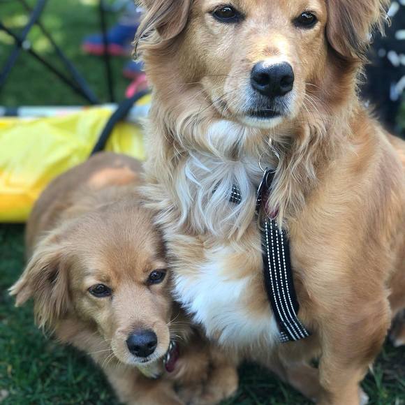 Profile Picture of Marchielo Brian (@marchielobrian) on Poshmark