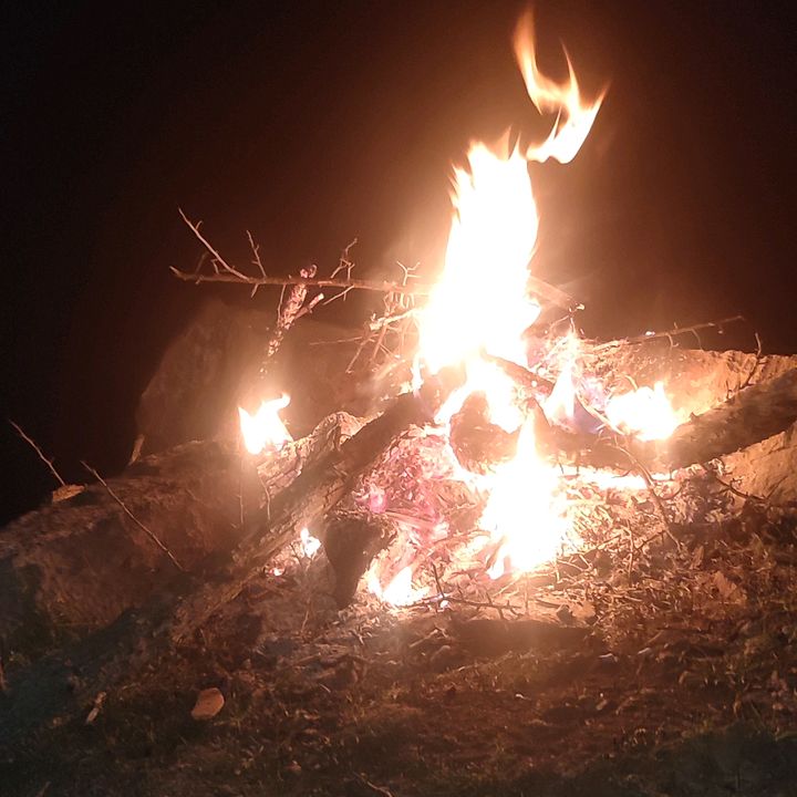 Profile Picture of Amir Faraji (@amir.faraji42) on Tiktok