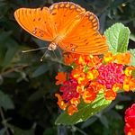 Profile Picture of Phil Searby (@srpieman) on Instagram