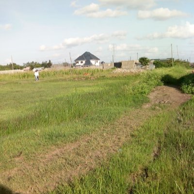 Profile Picture of Daniel Kenyan (@Kenyan84408356) on Twitter