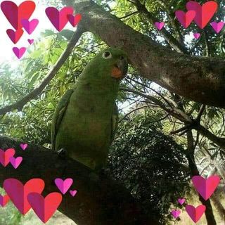 Blanca Osorto - Facebook Profile Picture of Blanca Osorto (@blanca.osorto.5473) on Facebook