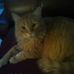 Profile Picture of Myrna Broce (@Myrna-Broce) on Facebook