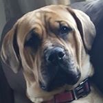 Profile Picture of Jonathan Clement (@jonathan.clement.3958) on Instagram