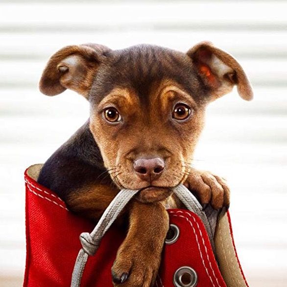 Profile Picture of Merrill (@merrimovies) on Tiktok