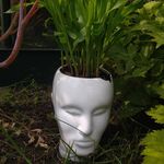 Profile Picture of Ann-Charlotte Beckman (@anncha0117) on Instagram