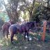 Profile Picture of Calixto Blanco (@calixto.blanco.73) on Facebook