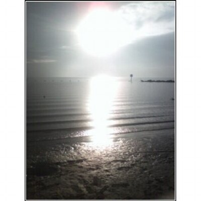 Profile Picture of Nancy Handley (@nancelynnturner) on Twitter