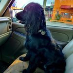 Profile Picture of Robert E. Figaroa (@robert.e.figaroa) on Instagram