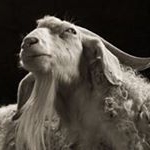 Profile Picture of Guy Hamling (@guyhamling) on Instagram