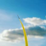 Profile Picture of Brăilean Damaris (@braileandamaris) on Instagram