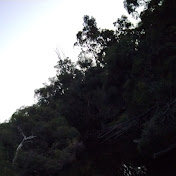 Profile Picture of Nathan Styles (@nathanstyles9459) on Youtube