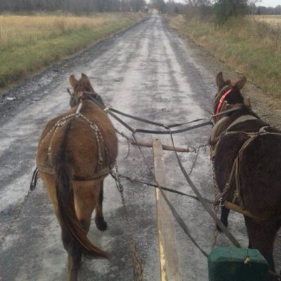 Profile Picture of Paul Tackett (@tackett_paul) on Twitter