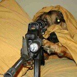 Profile Picture of Jeremiah Mathews (@2k___14__hoopper) on Instagram