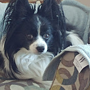 Profile Picture of Edward Walsh (@edwardwalsh3363) on Youtube