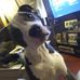 Profile Picture of Brian Mcbroom (@brian.mcbroom.355) on Facebook